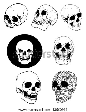 Skull Group Stock Vector Illustration 13550911 : Shutterstock