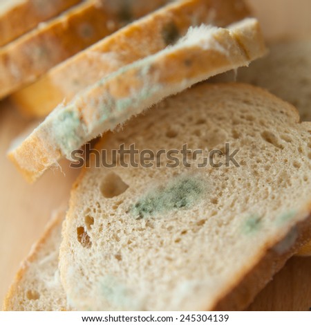 Mold on slices of white bread. Mould on food. Bread with mildew. Rotten food, bread. Macro perspective. Nobody. Shops, home, expire date.