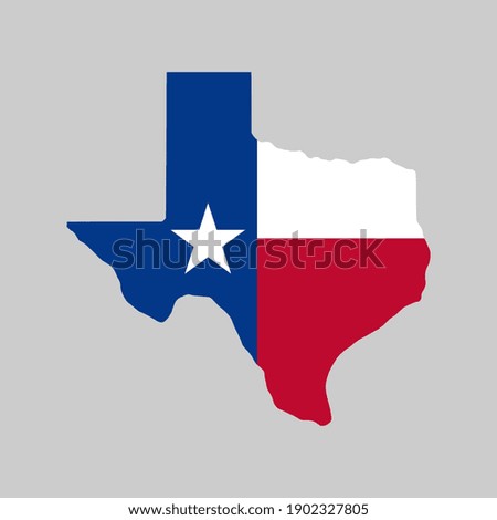 Vector Texas Flag Map Illustration