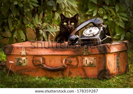vintage suitcase cat phone
