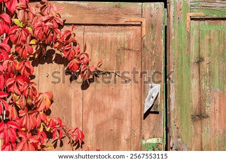 Similar – Image, Stock Photo A dilapidated stable in the mountains