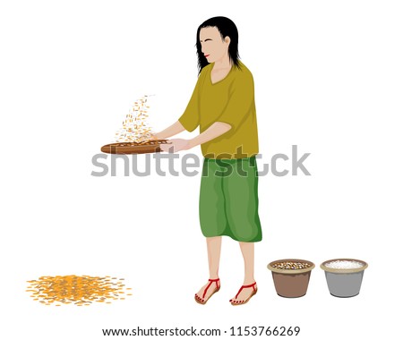 one woman cartoon shape winnow rice vector design