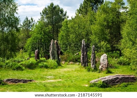Alignement of menhirs in the forest of Monteneuf remnant of old celts Photo stock © 