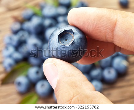 Blueberry in the man\'s hand. Blueberries over old wooden table in the background.