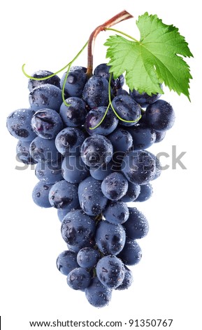 Grapes with grape leaf isolated on white background. 商業照片 © 