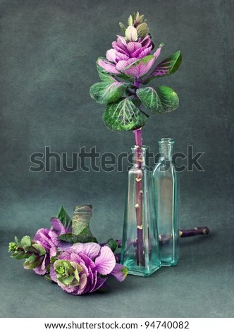 Beautiful purple flowers. Still Life .