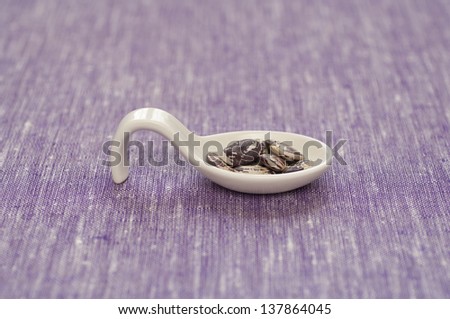Close-up view of Organic Italian Lima Beans in a ceramic spoon