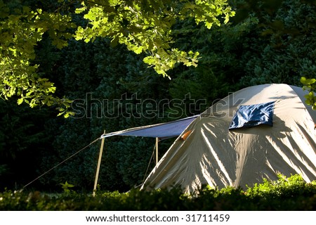 A silver dome tent with a rain flap, in a forest, bathed in  the morning or evening sunlight.