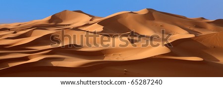 panoramic desert