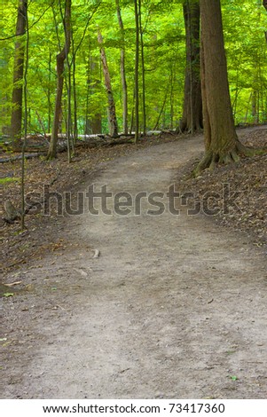 forest path walk