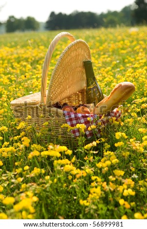 Picnic basket with wine, bread and fruits outdoors in yellow flowers