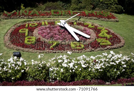 Flower Clock In Vina Del Mar, Chile, South America Stock Photo 71091766 ...