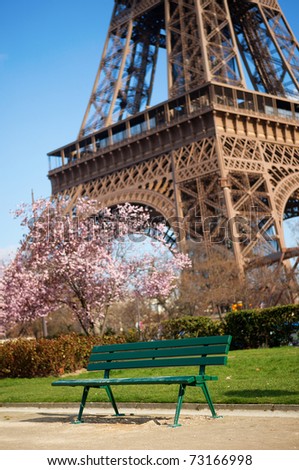 Spring in Paris. Bench near the Eiffel tower with blossoming cherry tree