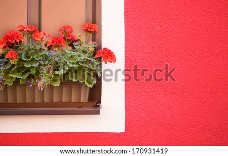 Window decorated with beautiful Geranium flowers