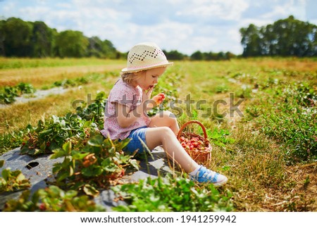 Similar – Image, Stock Photo Fresh Organic Strawberries and Apples Floating in a Tub of Water