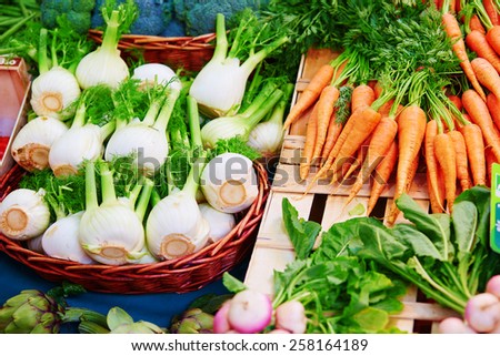 Fresh healthy bio fennel and carrots on Paris farmer agricultural market