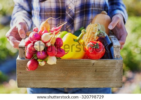 Woman\'s hands holding wooden crate with fresh organic vegetables from farm