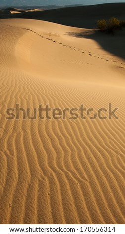 Sunset over the Sand Dunes of Mesquite Flats desert, Death Valley, California
