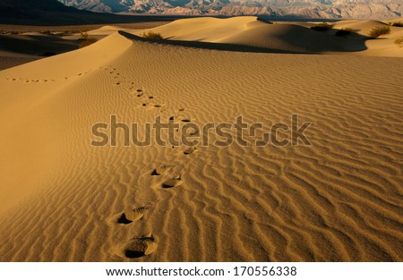 Abstract sand patterns in the Sand Dunes of Mesquite Flats desert, Death Valley, California