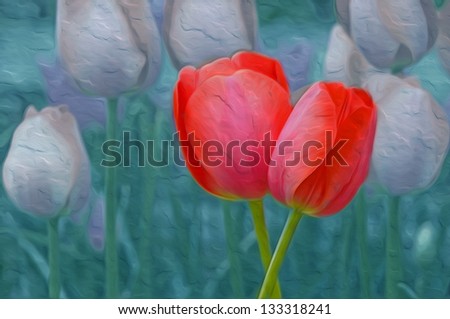 Tulips :  Photographic Art Oil Painting