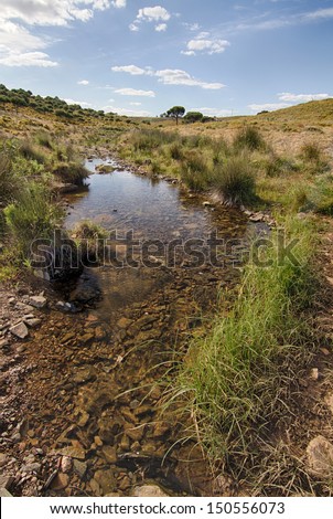 Beautiful spring view of a countryside stream of water located in Portugal.