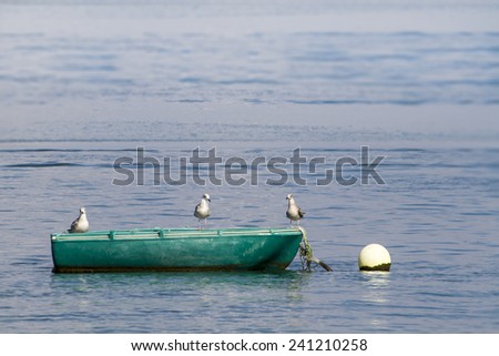 View of an anchored traditional fishing boat with three seagulls.