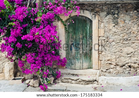 Old wooden door and bougainvillea on Crete
