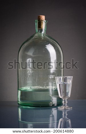 A large bottle of vodka and a small glass.