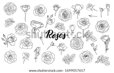 Rose Stencil  Free Stencil Gallery