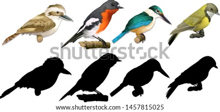 Silhouette, color and outline version of birds illustration