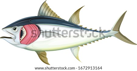 Fish with gills on white background illustration Stockfoto © 