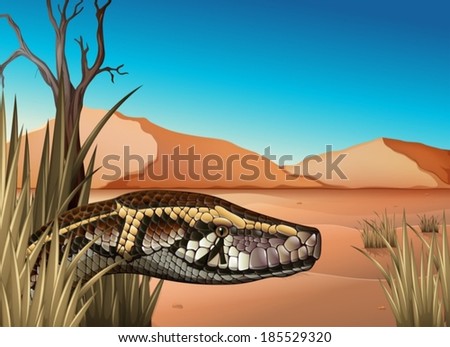 Illustration of a desert with a reptile