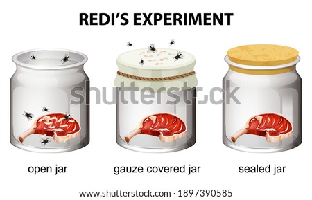 Redi's Experiment diagram for education illustration