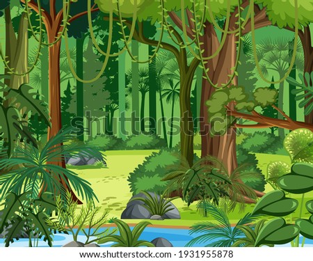 Tropical rainforest scenes in jungle forest