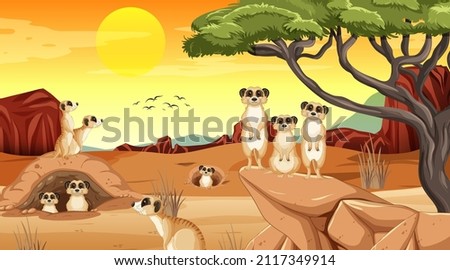Meerkats in tropical grassland landscape illustration