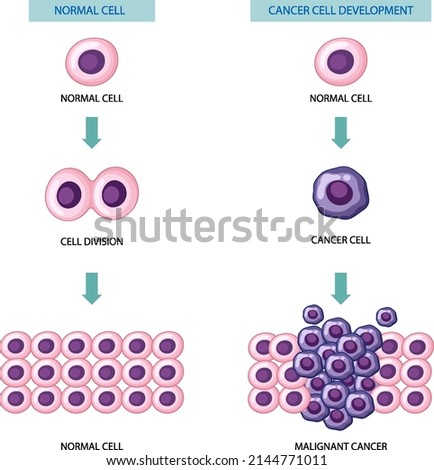 Similar – Image, Stock Photo cell division