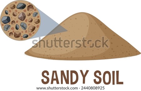 Detailed vector of sandy soil and its components