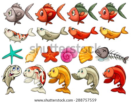 Fish and other sea creatures on a white background
