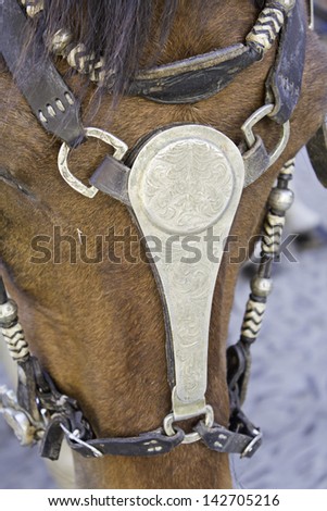 Wild Horse brown with medieval armor, animals and nature