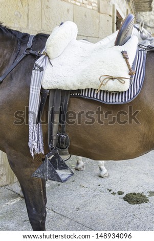 Horse with saddle on urban street, animals and horses