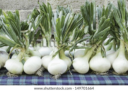 Large onions raw in food market, food