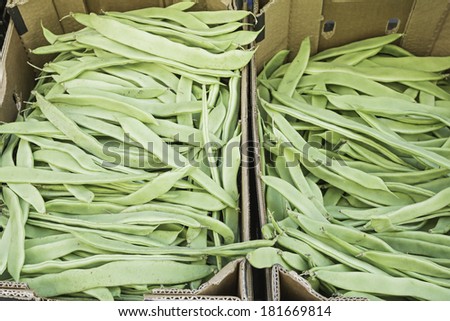 Natural green beans in vegetable shop, food