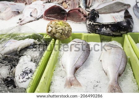 Fish in fish market counter with ice, food