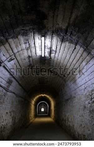 Similar – Image, Stock Photo Tunnel wall Tunnel vision