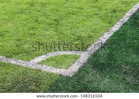 artificial grass soccer arena