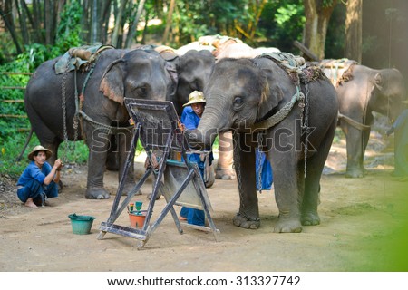 CHIANG MAI, THAILAND-OCT 2014: Elephant is painting a picture at Elephant Camp. Chiang Mai, Thailand on October 15, 2014.