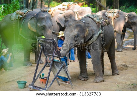 CHIANG MAI, THAILAND-OCT 2014: Elephant is painting a picture at Elephant Camp. Chiang Mai, Thailand on October 15, 2014.