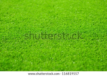 Grass background of the soccer (football) stadium pitch