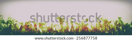 green and red Fire flames on white background