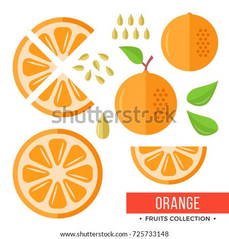 Orange. Whole orange and parts, slices, seeds, leaves. Set of fruits. Flat design graphic elements. Vector illustration isolated on white background
